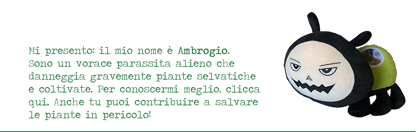 Mi presento: sono Beastie the Bug, un parassita vorace e pericolosissimo. Tu però mi puoi sconfiggere, anzitutto imparando a conoscermi.