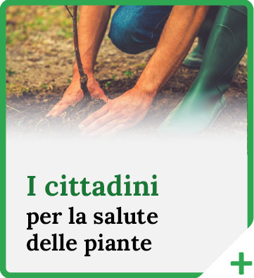 I cittadini per la salute delle piante